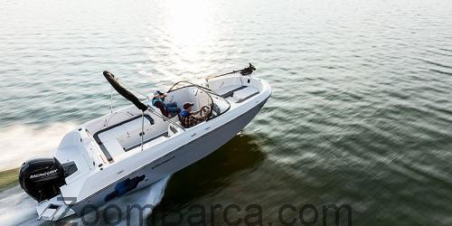 Bayliner Element E21 scheda tecnica e recensioni